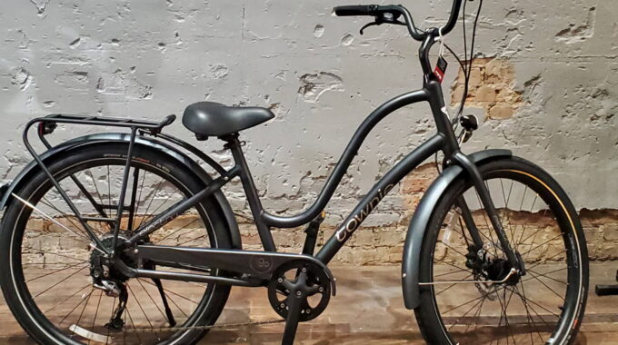 Electra 2021 Townie 9D EQ